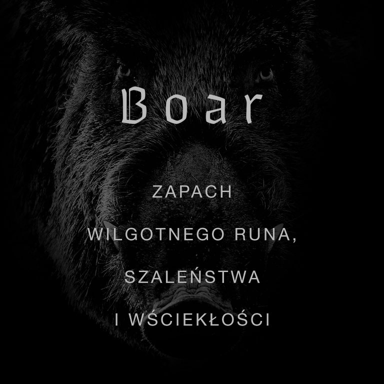Wolf Brothers Boar Wild Slavic Fragrance 50ml - obrazek 4